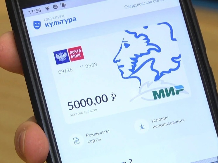 В Калмыкии с Пушкинской картой можно пойти в ледовый дворец "Джунгар"
