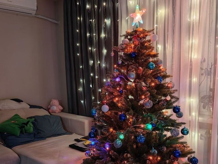 Акция «Вторая жизнь новогодней елке» завершилась в Хабаровске