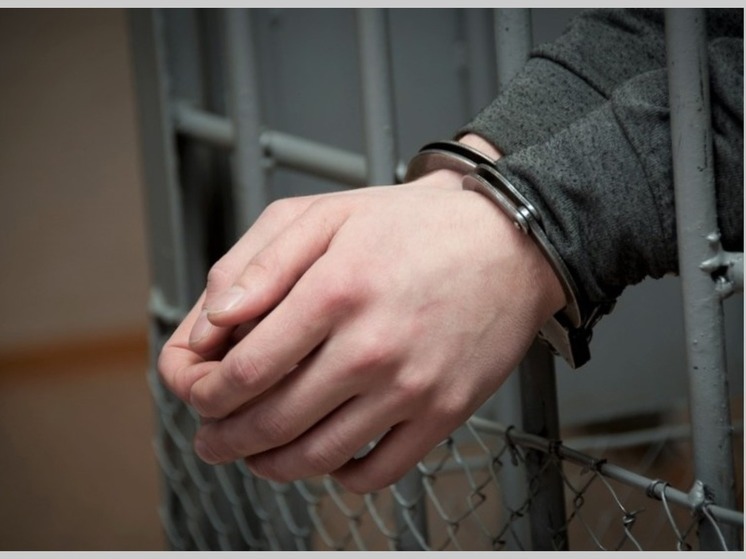 В Новосибирске трех мигрантов приговорили к 9 годам колонии за 600 гр наркотиков