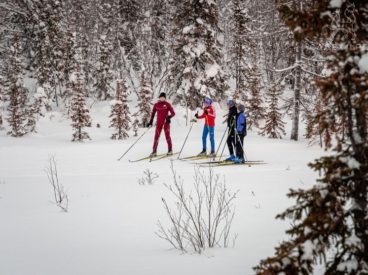 В Салехарде школьные уроки физкультуры перенесут на лыжную базу