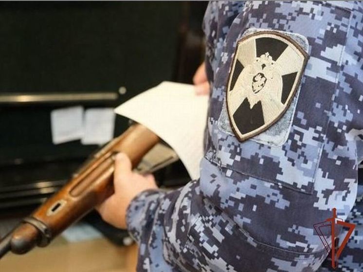 В Орловской области у жителей изъяли 15 единиц оружия за неделю