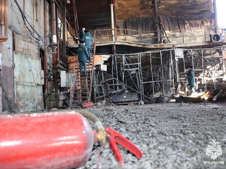 В Хабаровске выясняют причины пожара на заводе стройконструкций