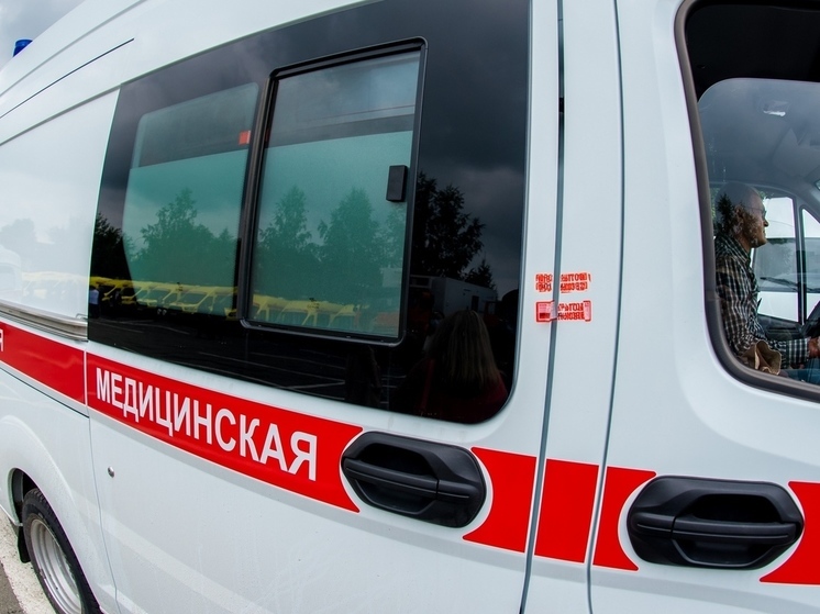 В Челябинской области мужчину насмерть задавил грузовик