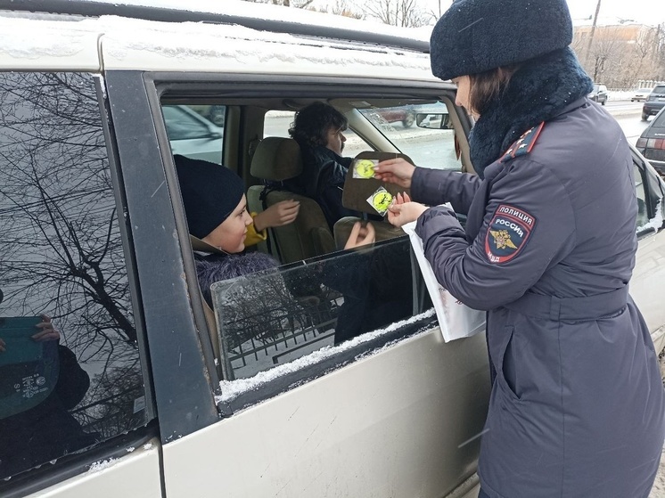 В Твери ГИБДД контролирует наличие детских кресел в автомобилях