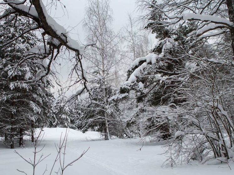 Синоптик рассказал, где сейчас в Подмосковье самые высокие сугробы
