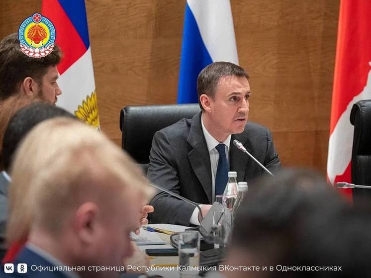 В минсельхозе Калмыкии отчитались: агропром региона демонстрирует рост