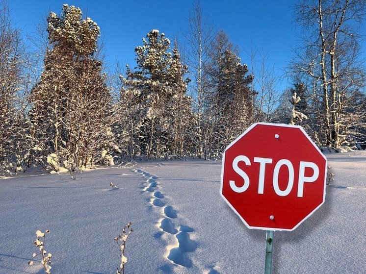 Зимник Коротчаево — Красноселькуп закрыли для грузовиков