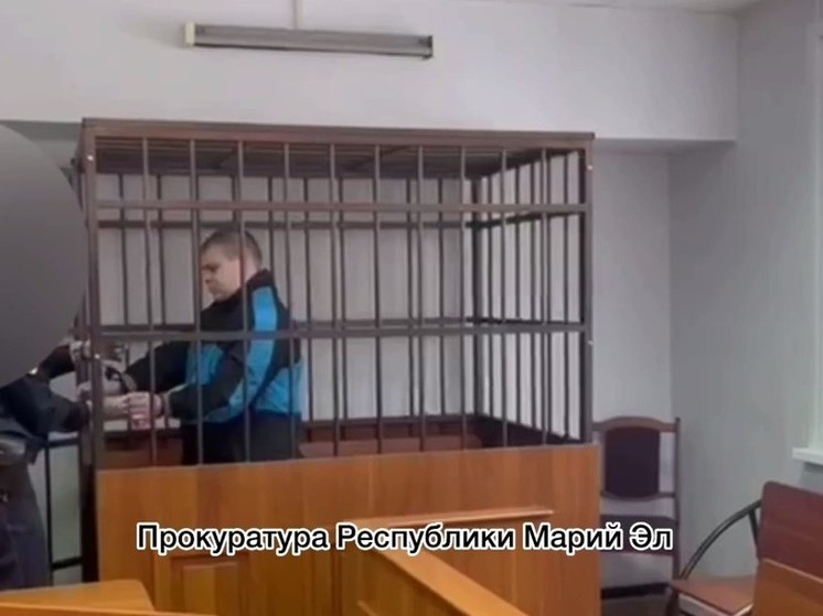В Йошкар-Оле наркокурьера приговорили к 11,5 года заключения