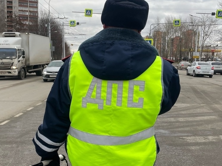 7 февраля в Рязанской области проходят рейды ГИБДД по подложным номерам