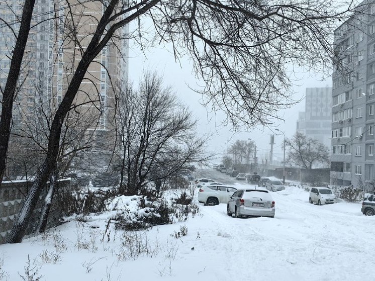 Небольшой снег ожидается в Хабаровске