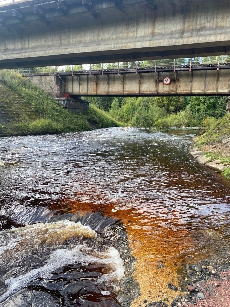 Рабочие углубят реку, затопляющую дорогу под Петрозаводском
