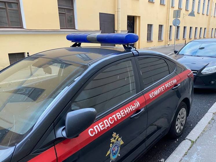 Жителю Ленобласти грозит срок за истязание двух своих детей