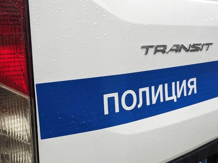 На трассе «Петербург — Матокса» мужчина за рулем KIA насмерть сбил пенсионера