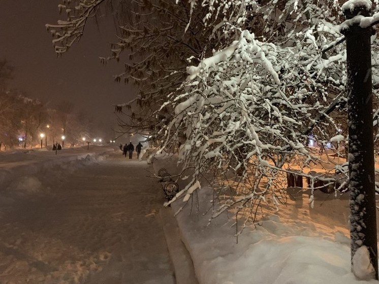 В Пензенской области ищут подрядчика для благоустройства кузнецкого сквера