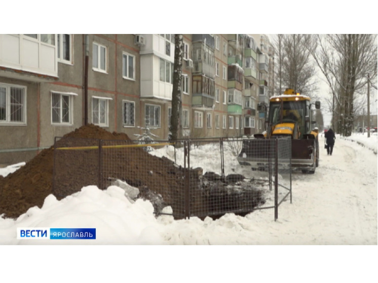 Ярославцам рассказали, почему на улице Блюхера вырубили деревья