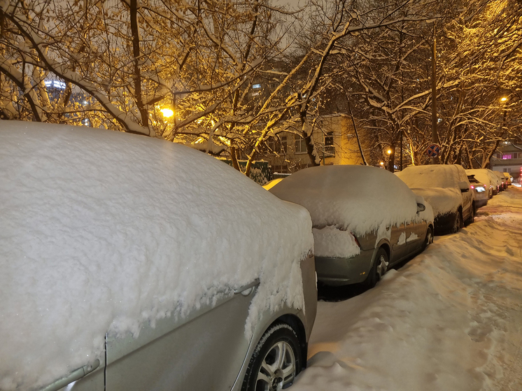 Синоптик Шувалов назвал примерные сроки окончания вызванного «Ольгой» снегопада в Москве