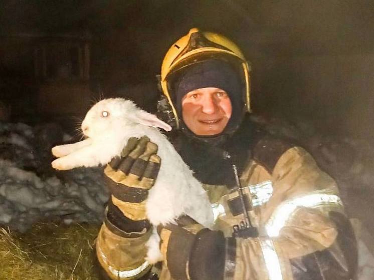 Пожарным под Омском пришлось отлавливать спасенных из огня кроликов