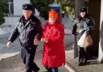 Курская полиция арестовала местную жительницу, подозреваемую в поджоге релейного шкафа на железной дороге