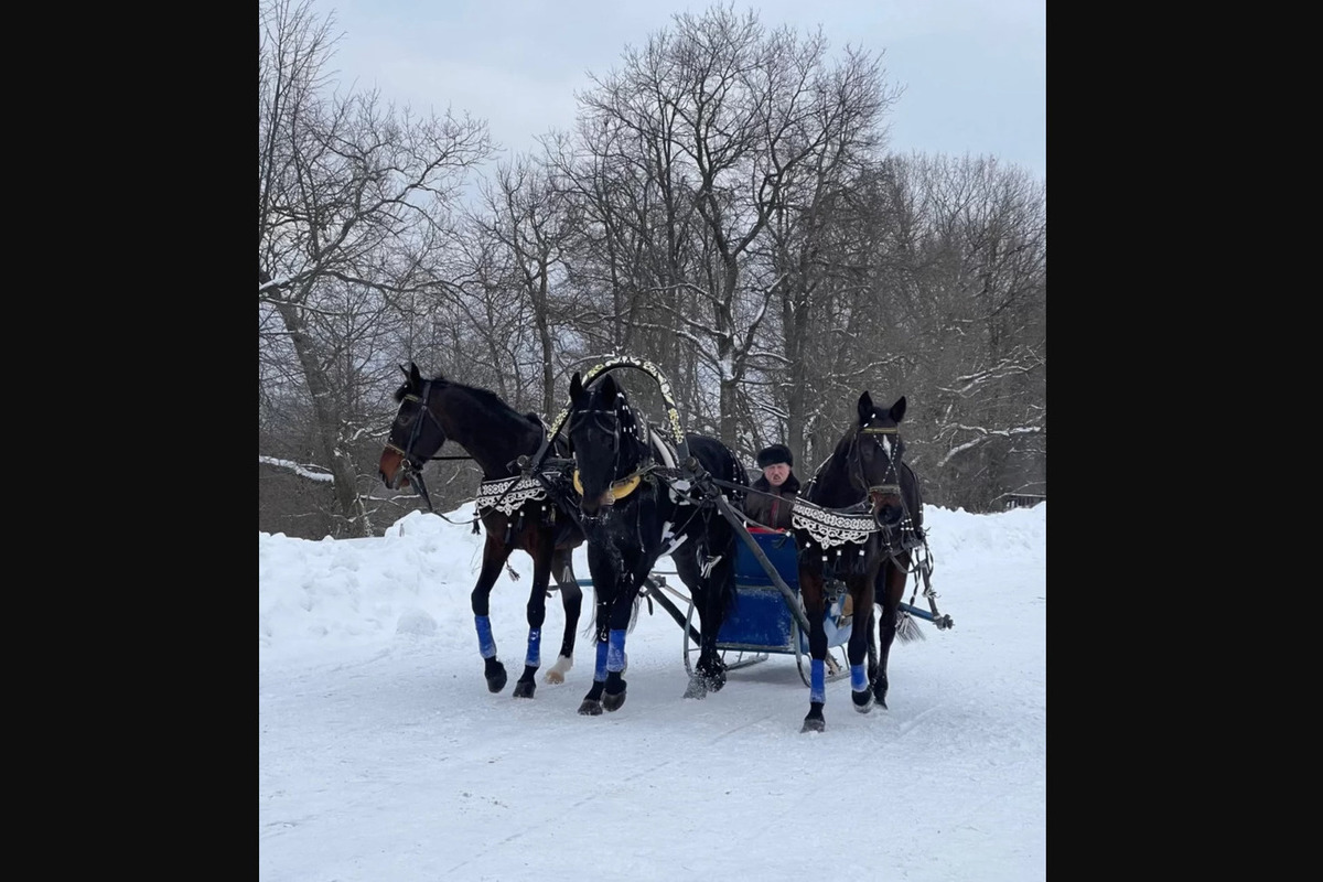 Three Kostroma trotters are in the lead at the Russian Drive tournament