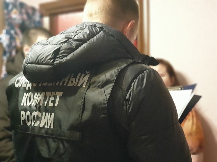 Нетрезвая мурманчанка ударила полицейского кулаком по голове