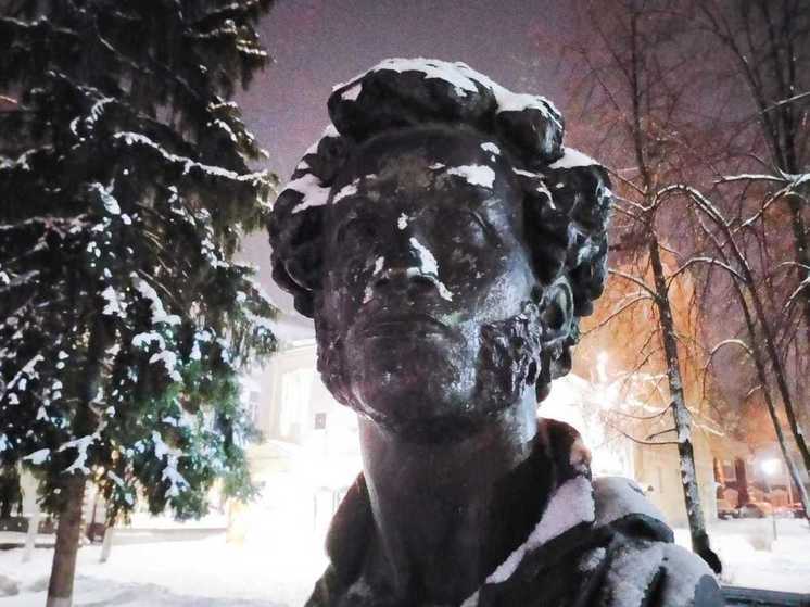 Ещё один памятник Пушкину появится в Томске