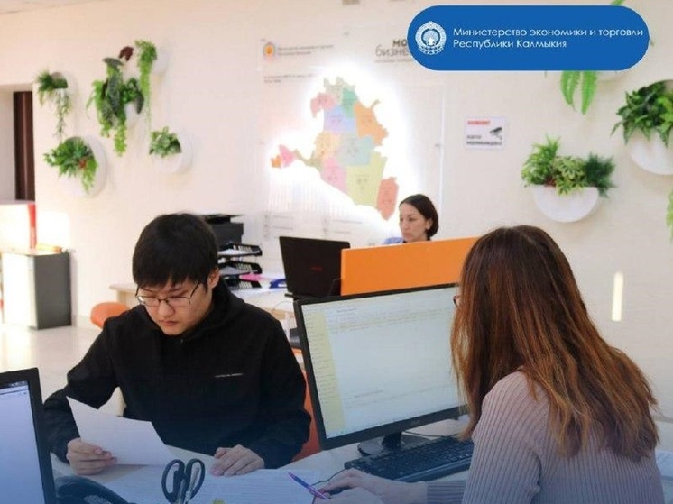 Полторы тысячи предпринимателей Калмыкии получили бизнес-услуги