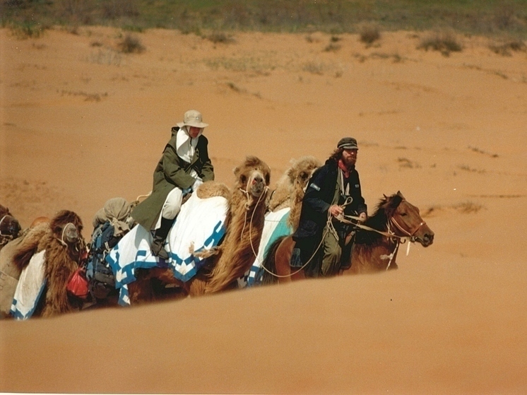 В ОАЭ завершена экспедиция туляка Конюхова на верблюдах