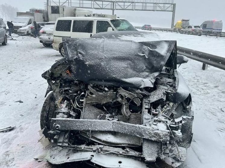 Мать и дочь погибли в жуткой аварии на трассе М-4 под Ступино