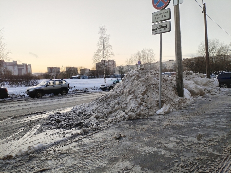 Петербургских предпринимателей оштрафовали за нарушение правил зимней уборки