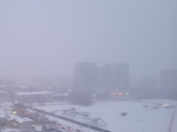 На Екатеринбург обрушился снегопад