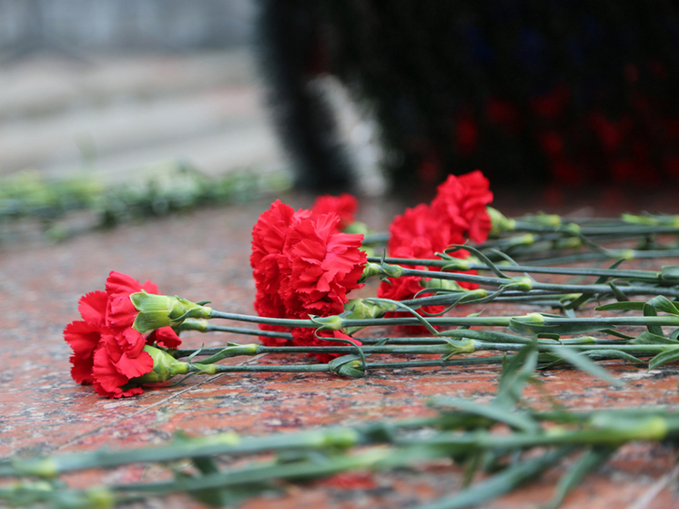 К Дню памяти воинов, погибших в мирное время, в Воронеже проведут 56 мероприятий