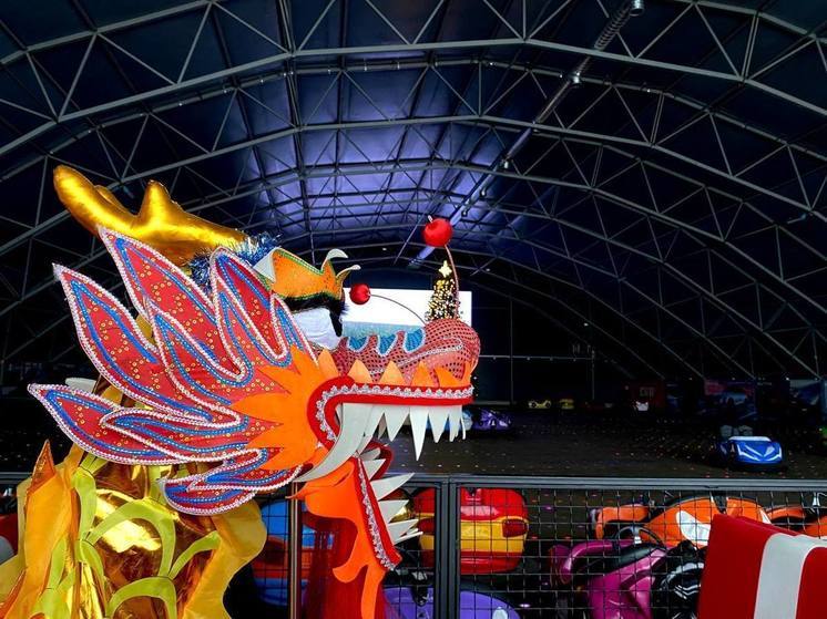 Волгоградцы отметят китайский Новый год с драконом и пандой