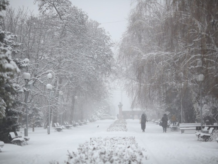 Циклон «Ольга» станет причиной обильных снегопадов в Волгограде