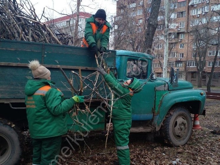 Дончане приняли участие в экологической акции
