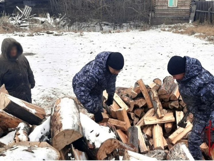 В Бурятии рогвардейцы накололи дров пенсионерке