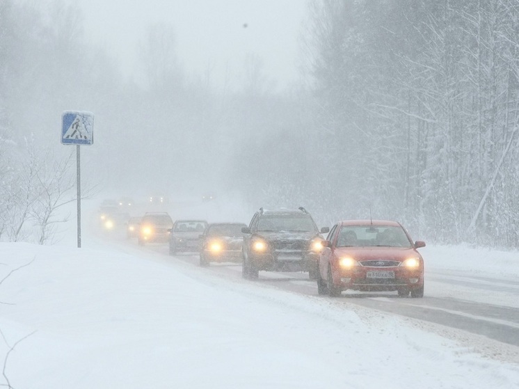 В Челябинской области из-за снежной бури ввели временное ограничение движения по трассе до Казахстана