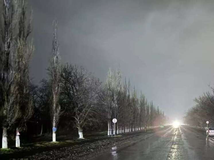 На Дону пенсионер на иномарке сбил пешехода