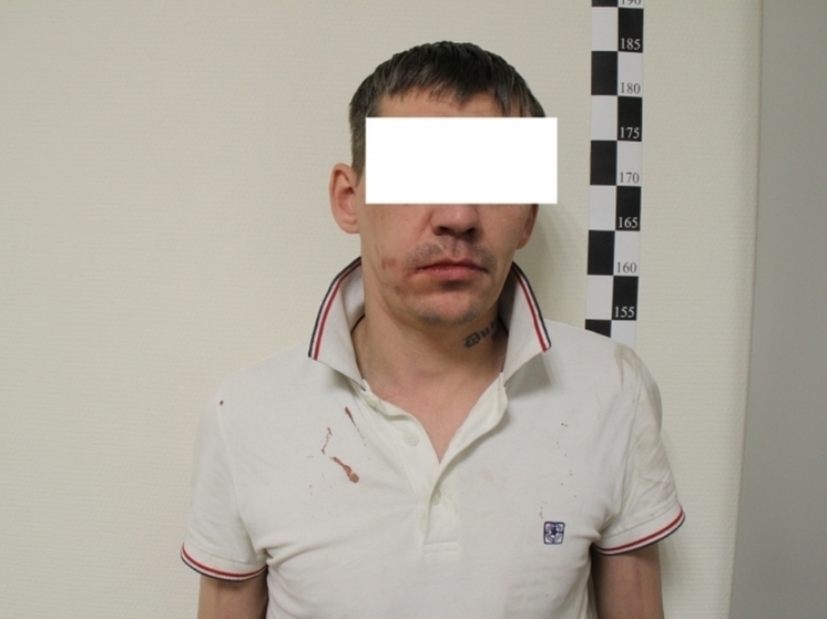 Осужденный на Ямале за кражу телефона тюменец тут же снова стащил телефон