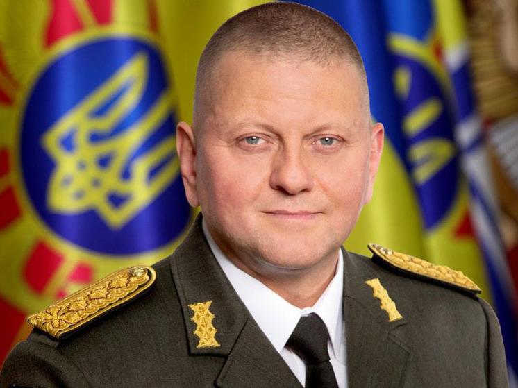 Отправленный в отставку Залужный сменил название своего канала