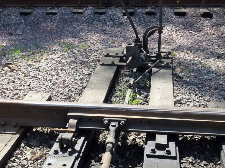 Подмосковному диверсанту за поджог на ж/д грозит пожизненный срок