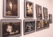 С 6 по 29 февраля в залах Выставочного центра можно увидеть работы Владимира Лосмана