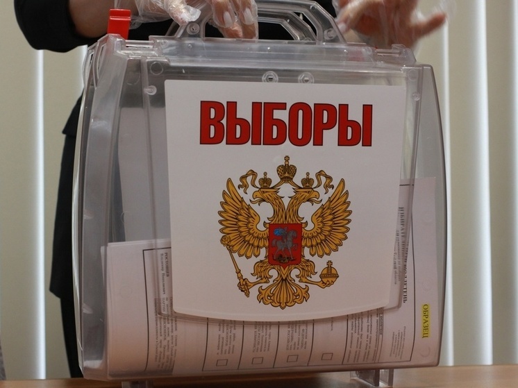 Пять избирательных участков в Тульской области оборудуют для слабовидящих
