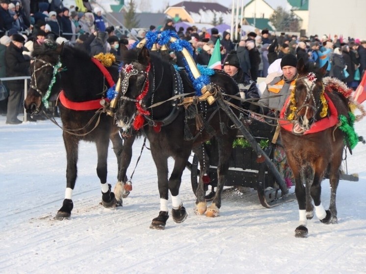 Игры «Аударыш» и парад упряжек лошадей пройдут на фестивале в Татарстане