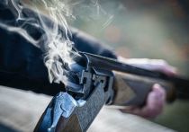 В Тюменской области учащийся колледжа выстрелил из охотничьего ружья в 14-летнего мальчика