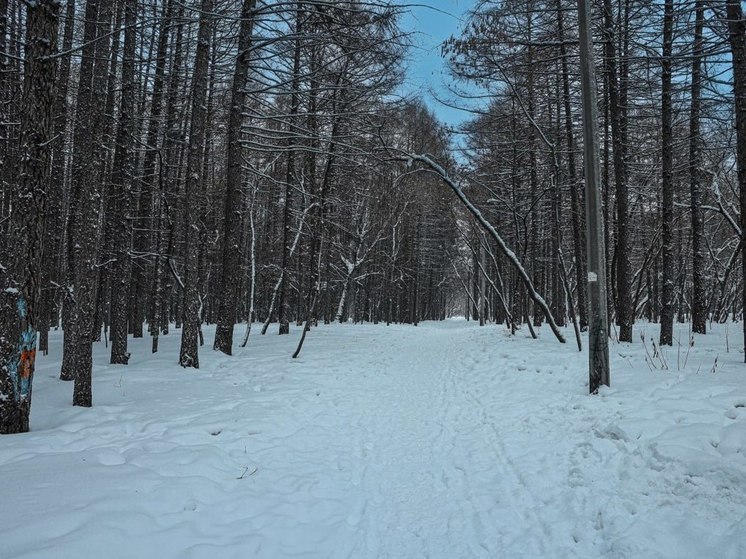 Выходные на Южном Урале начнутся с метелей и похолодания