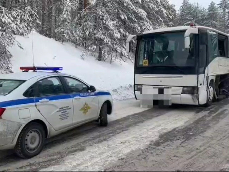 Полиция Карелии рассказала, как автобус с детьми попал в ДТП