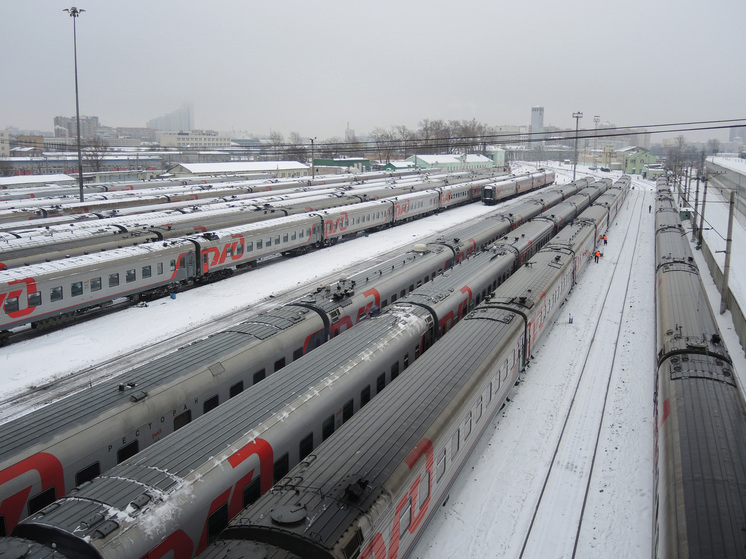 14-летний зацепер погиб от удара током на станции в Люберцах