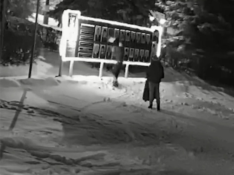 В Скопине неизвестный сорвал фотографию с Доски почёта
