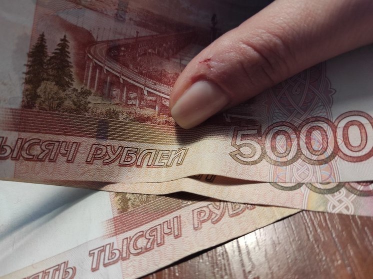 В Великом Новгороде главный бухгалтер госучреждения осуждена за мошенничество