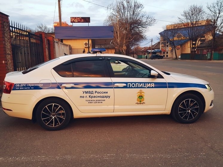 В Краснодаре полиция проводит проверку по факту нелегального выброса мусора